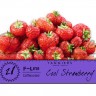 Табак Tangiers F-line - Cool Strawberry (Прохладная Клубника) 250 гр