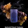 Одноразовая электронная сигарета Pafos 8000 - Виноград табак