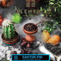Табак Element Вода - Cactus Fig (Кактусовый Финик) 25 гр