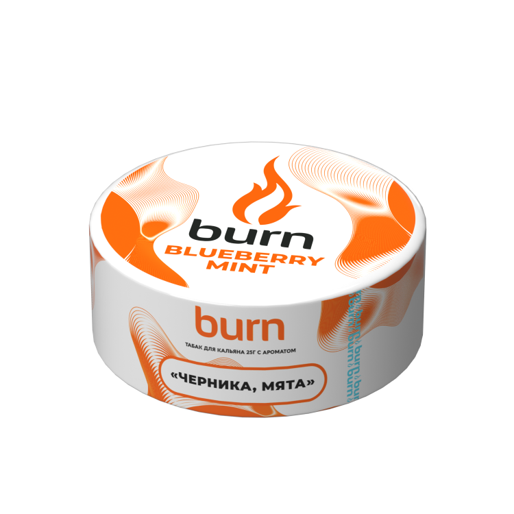 Табак Burn - Blueberry Mint (Черника с мятой) 25 гр