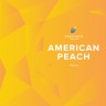 Табак Spectrum - American Peach (Американский Персик) 250 гр